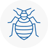 Bed Bug Extermination In Tyldesley