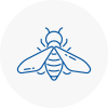 Bee Nest Removal Tyldesley