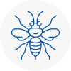 Tyldesley Hornet Nest Removals