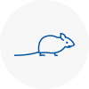 Mice Exterminators In Tyldesley