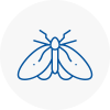 Moth Control Specialists In Tyldesley