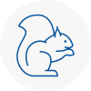 Tyldesley Rodent Removals
