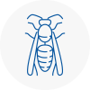 Tyldesley Wasp Nest Removal